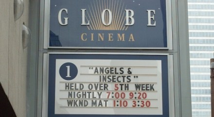 Image taken from the Calgary Herald article